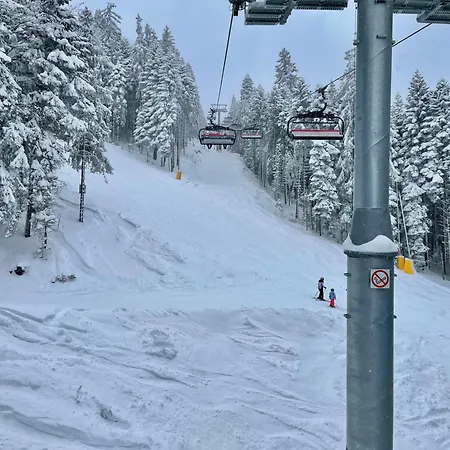 Sunny Close To The Slopes Appartamento *