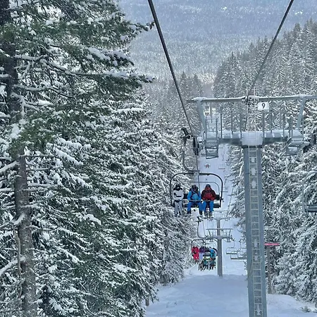 Sunny Close To The Slopes